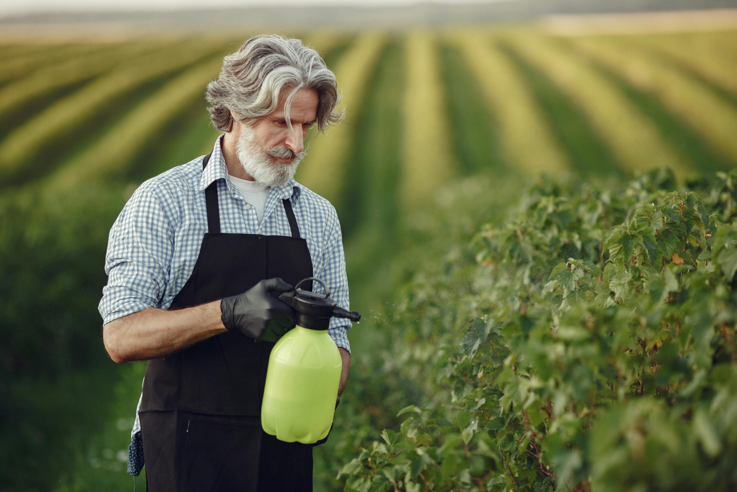 Pest Control Services