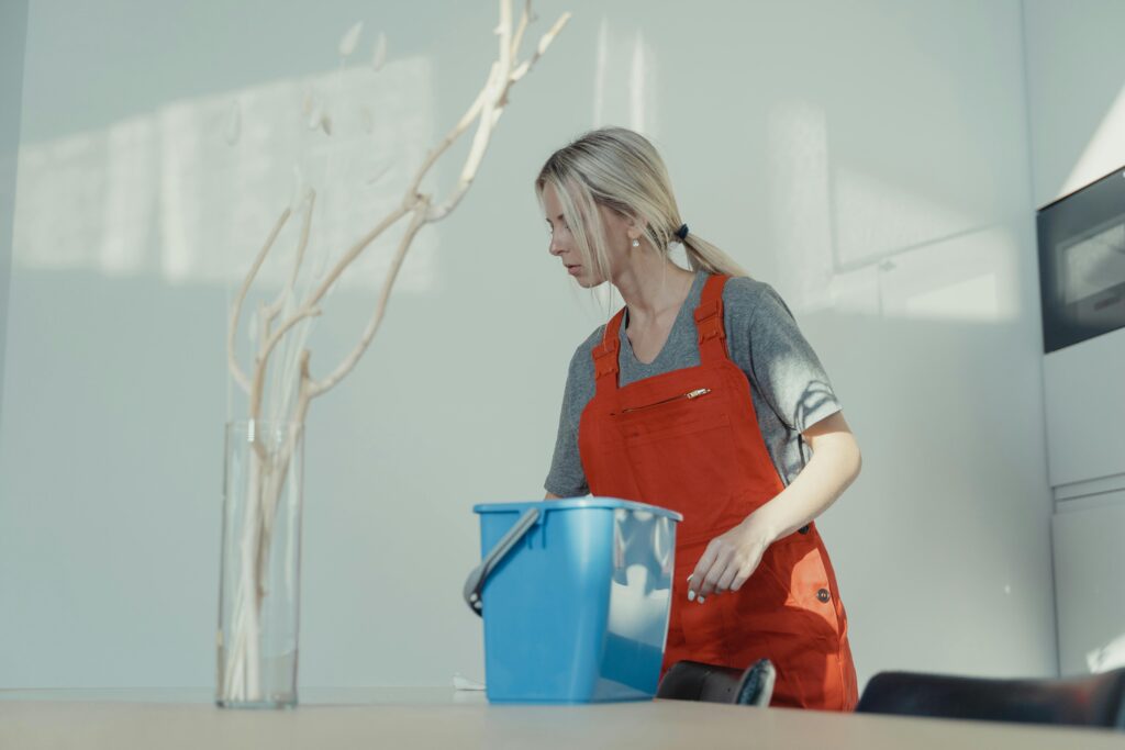 House Cleaning Services